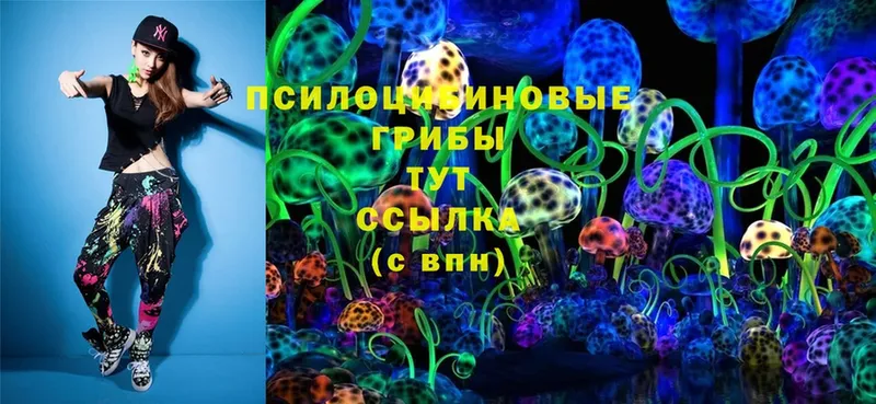 где продают наркотики  Оленегорск  Псилоцибиновые грибы MAGIC MUSHROOMS 