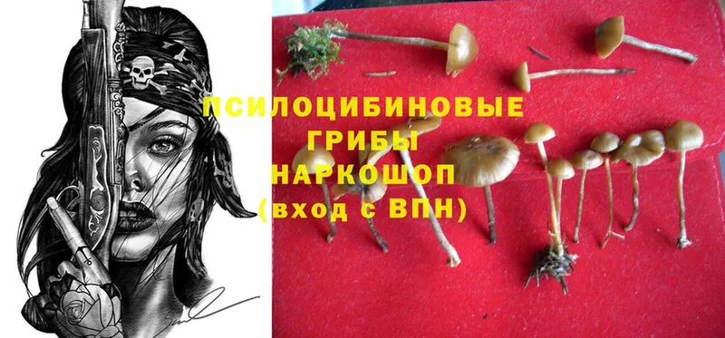 Псилоцибиновые грибы Magic Shrooms Оленегорск